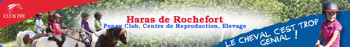 Haras de Rochefort